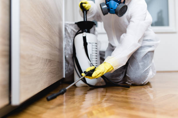 Best Ant Control Services  in Fort Branch, IN