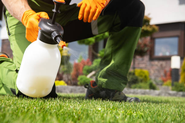 Best Bird Control  in Fort Branch, IN