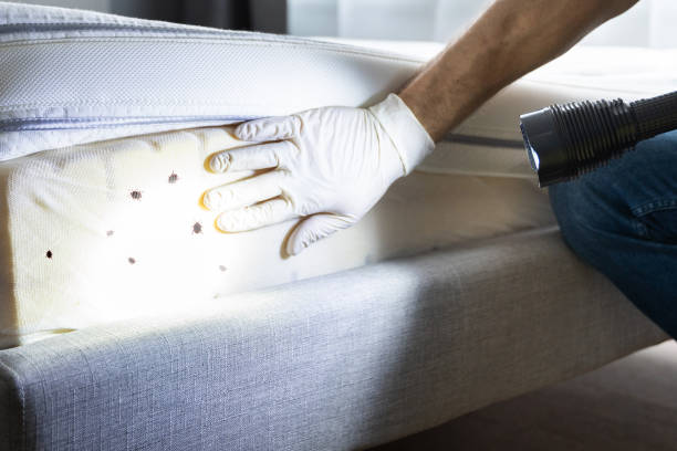 Best Commercial Pest Control Services  in Fort Branch, IN