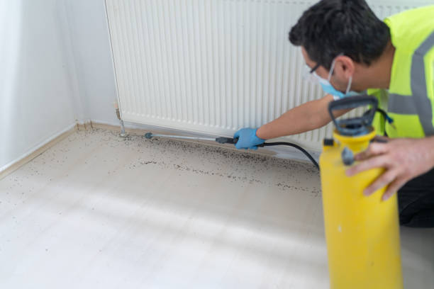 Best Bed Bug Extermination  in Fort Branch, IN